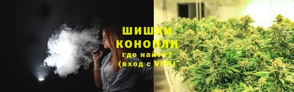 СК Аркадак