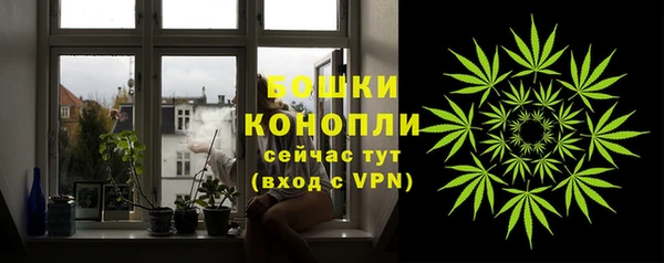 дмт Арсеньев