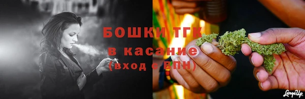 СК Аркадак